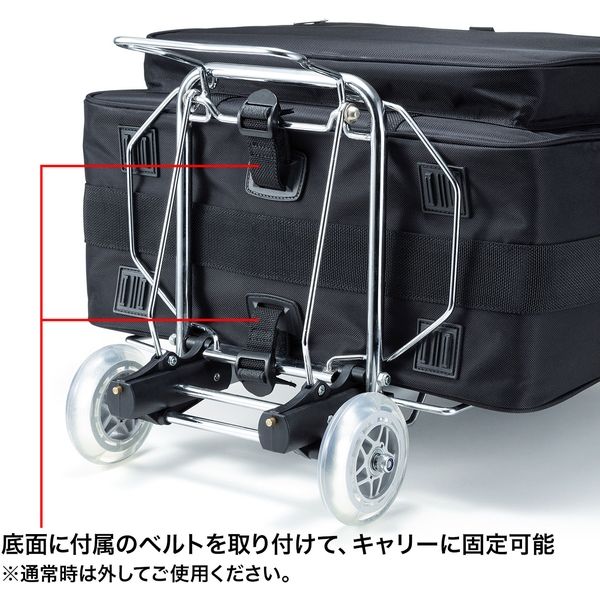 サンワサプライ プロジェクターバッグ BAG-PRO5 1個（直送品）