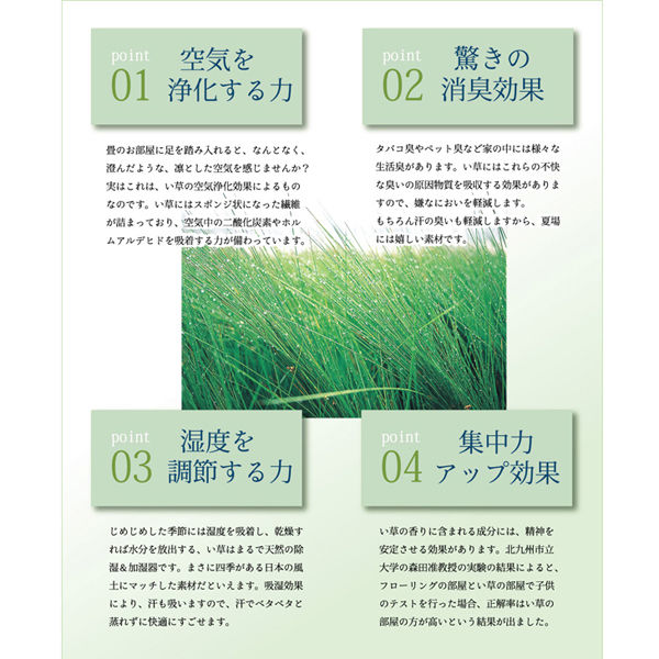 イケヒコ 純国産 い草 上敷き カーペット 糸引織 『日本の暮らし