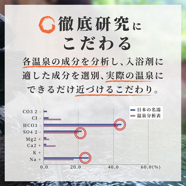 日本の名湯 にごり湯の醍醐味 1セット（30g 14包入×2箱） 人気温泉地公認 バスクリン