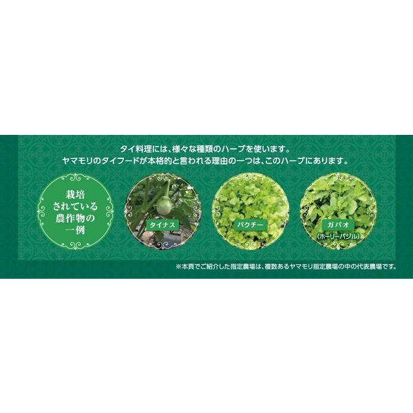 アスクル】 ヤマモリ タイカレーグリーン 180g 1セット（3食入） 通販 - ASKUL（公式）