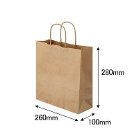 丸紐クラフト紙手提袋薄型エコノミー260×280×100 茶 1袋（50枚入）
