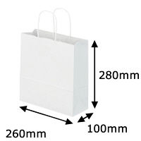 【紙袋】丸紐 クラフト紙手提袋 薄型エコノミータイプ