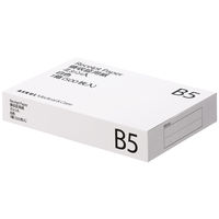 アスクル領収証用紙 B5ミシン目入 白色 無地 1箱（500枚入） オリジナル