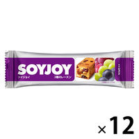 SOYJOY（ソイジョイ）　3種のレーズン　12本　大塚製薬　栄養補助食品
