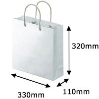 アスクル 樹脂カバー付き 手提げ紙袋 ホワイト S 1袋（10枚入） オリジナル