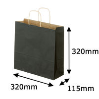 スーパーバッグ　丸紐カラー手提げ紙袋　ブラック　M　　1袋（50枚入）　　　 オリジナル