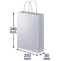 手提げ紙袋　丸紐　ブライトーンパールタイプ　パールグレー　L　1袋（10枚入）　スーパーバッグ オリジナル