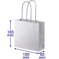 手提げ紙袋　丸紐　ブライトーンパールタイプ　パールグレー　S　1袋（10枚入）　スーパーバッグ オリジナル