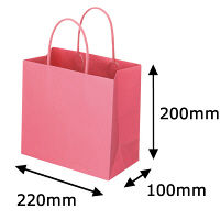 レザートーン手提袋　丸紐　ローズ　M　1袋（10枚入）　スーパーバッグ オリジナル