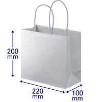 手提げ紙袋　丸紐　ブライトーンパールタイプ　パールグレー　M　1セット（30枚：10枚入×3袋）　スーパーバッグ オリジナル