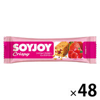 SOYJOY（ソイジョイ） ソイジョイクリスピー ミックスベリー 1ケース（48本） 大塚製薬 栄養補助食品