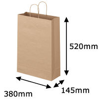 丸紐 クラフト紙手提袋ベーシック 380×520×145 茶 1箱（200枚：50枚入×4袋） オリジナル