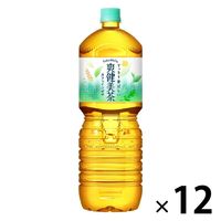 コカ・コーラ　爽健美茶　2.0L　1セット（12本：6本入×2箱）