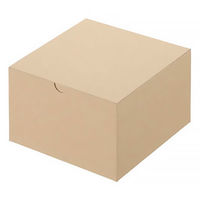 クラフトボックス　G-2　外寸：167×167×108　1箱（50枚：10枚入×5袋）