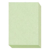 大王製紙 ダイオーマルチカラープリンタ用紙 86408 B5 1箱（2500枚入