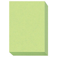 大王製紙 ダイオーマルチカラープリンタ用紙 86426 A3 1箱（1500枚入） うぐいす色 - アスクル