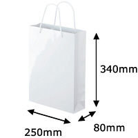 手提げ紙袋　ミラーフィルムタイプ　丸紐　ホワイト　M　1袋（5枚入）　アスクル オリジナル