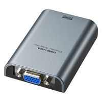 サンワサプライ USB-VGAディスプレイ変換アダプタ シルバー USB2.0 AD-USB24VGA 1個