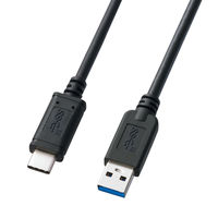 サンワサプライ USB3.1 Gen2 TypeC - A ケーブル KU31-CA10 1本