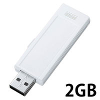 サンワサプライ USB2.0 メモリ UFD-RNS2GW 1個（直送品）
