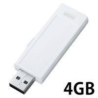 サンワサプライ USB2.0 メモリ UFD-RNS4GW 1個（直送品）
