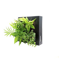 トヨタサントリーミドリエ MIDORIE DESIGN（ミドリエデザイン） 観葉植物 FRAME ブラック17Y4 3個セット（直送品）