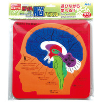 アーテック EVA脳パズル 95038 3個（直送品）