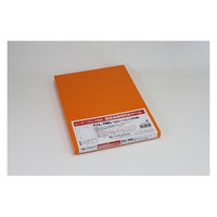 東洋印刷 ナナタフネスラベル （極低温環境対応） 白 A4 1面 1箱（100シート入） FCL7MG（直送品）