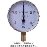 第一計器製作所 HNT汎用圧力計（耐振用 AVT3／8-100:1.6MPA 1個（直送品）