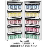 アスクル】杉田エース エースキーボックス CI-100 161018 1台（100枚 
