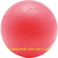 アスクル 池田工業社 ドッチボール 直径約cm 赤 空気無し 1個 直送品 通販 Askul 公式