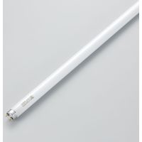 Hf直管蛍光灯 32形 昼白色 FHF32EXN 1本 ヤザワコーポレーション（直送品）