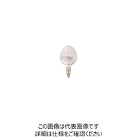 岩崎電気 岩崎 セルフバラスト水銀ランプ100V750W BHRF100V750WH 1個（直送品）