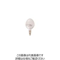 岩崎電気 岩崎 セルフバラスト水銀ランプ200V750W BHRF200V750WH 1個（直送品）