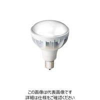 岩崎電気 岩崎電気，LEDランプ，LDR30NH-E39-/W950 LDR30NHE39/W850 1個（直送品）