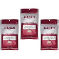 送料無料 GABAN フライドポテトシーズニング（パルメザンチーズ＆ブラックペッパー） 100ｇ×3袋【ミックススパイス 香辛料 パウダー】（直送品）