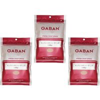 送料無料 GABAN　タンドリーチキンシーズニング（袋）　100ｇ×3袋　【ミックススパイス　ハウス食品　香辛料　パウダー　業務用】　（直送品）