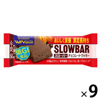 ブルボン スローバーチョコレートクッキー 41g 1セット（9本） 栄養調整食品