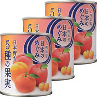 明治屋 日本のめぐみ 日本育ち 5種の果実 1セット（3個）