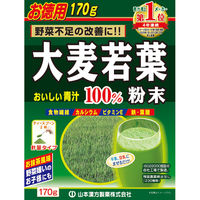 山本漢方製薬　大麦若葉粉末100%　計量タイプ　　1箱（170g）　青汁