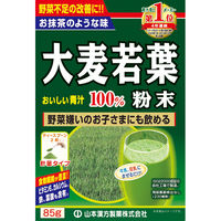 山本漢方製薬 大麦若葉粉末100% 計量タイプ 1箱（85g） 青汁