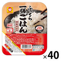 パックごはん 40食 ふっくら一膳ごはん 40個 東洋水産 米加工品 包装米飯