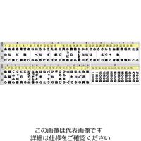 遠藤商事 メニュー札 一〇〇円 1個 62-6774-87（直送品）