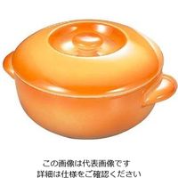 キャセロール 皿の人気商品・通販・価格比較 - 価格.com