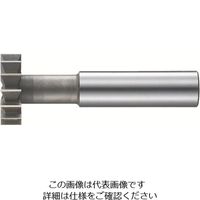 オーエスジー（OSG） ハイスT溝カッタ（Tスロットカッタ） RF-TSC 20mm