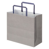 アスクルカタログリサイクル紙袋「Come bag/カムバッグ」平紐タイプ 220×200×100mm 1袋（50枚入）オリジナル