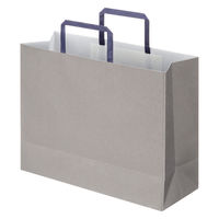 アスクルカタログリサイクル紙袋「Come bag/カムバッグ」平紐タイプ 320×250×115mm 1袋（50枚入）オリジナル