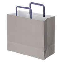 アスクルカタログリサイクル紙袋「Come bag/カムバッグ」平紐 260×230×120mm 1箱（300枚）オリジナル