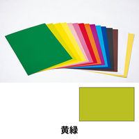 日幼 カラー工作用紙 A3 黄緑 1セット（60枚：20枚×3袋）