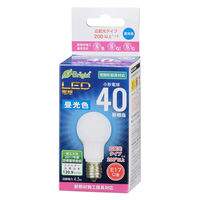 オーム電機 LED電球 小形 E17 40形相当 リアル形状 LDA G-E17 IH2R1